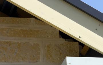 soffit repair Withcall
